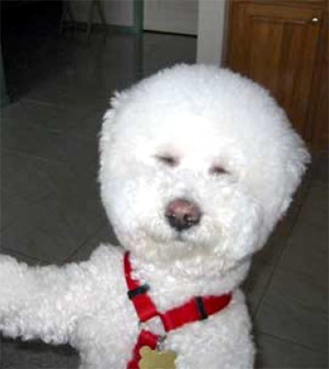 on dirait bouli le bonhomme de neige!nan??