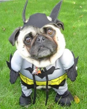 batman a pris un peut de poid ces jours