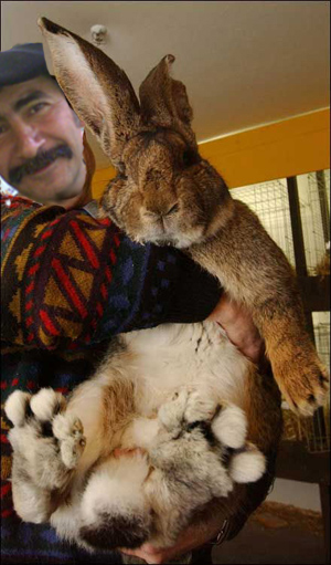 gabi au retour de la chasse